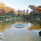 Photo of the Japanese Friendship Garden