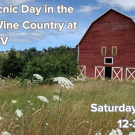 Picnic Day in OR Wine Country