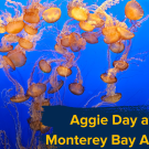 Jellyfish floating in a tank with superimposed script "Aggie Day at the Monterey Bay Aquarium"