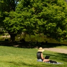 A woman sitting in the grass