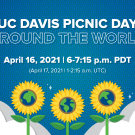 UC Davis Picnic Day Around the World on a blue background with clouds in the bottom corners and three sunflowers.