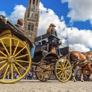 An alum traveler is pulled in a horse carriage while sight-seeing in Bruges.
