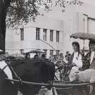 Black and white photo of the sisters riding a cart pulled by a cow in the Picnic Day parade on campus. They are holding an umbrella in the rain.