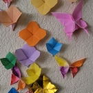 origami butterflies