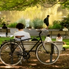 A peaceful park scene with several people relaxing near a pond. In the foreground, a person sits on a bench reading a book, with a black bicycle propped against the bench. Ducks and geese walk and rest on the grass nearby. Other people sit on benches and the grass, while one person walks along the path beside the water. Trees provide shade and greenery, and the pond reflects the surrounding landscape.