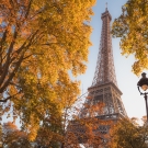 Photo of Eiffel Tower in autumn with the UC Davis and AUC Logos