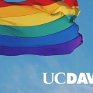 Rainbow flag and UC Davis