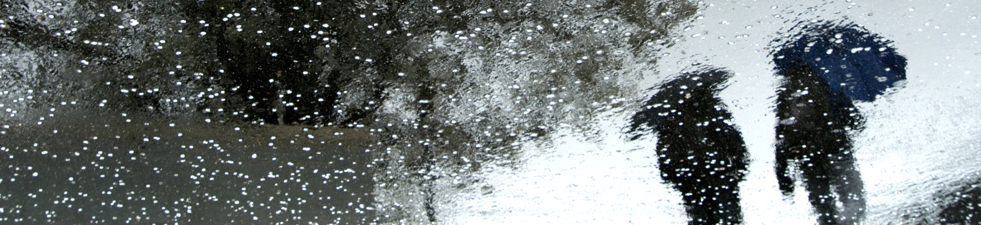 Rain and trees