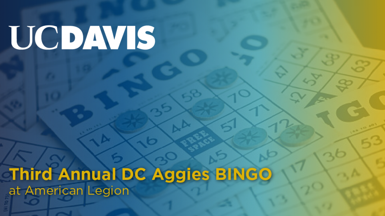 American legion bingo murrells inlet sc