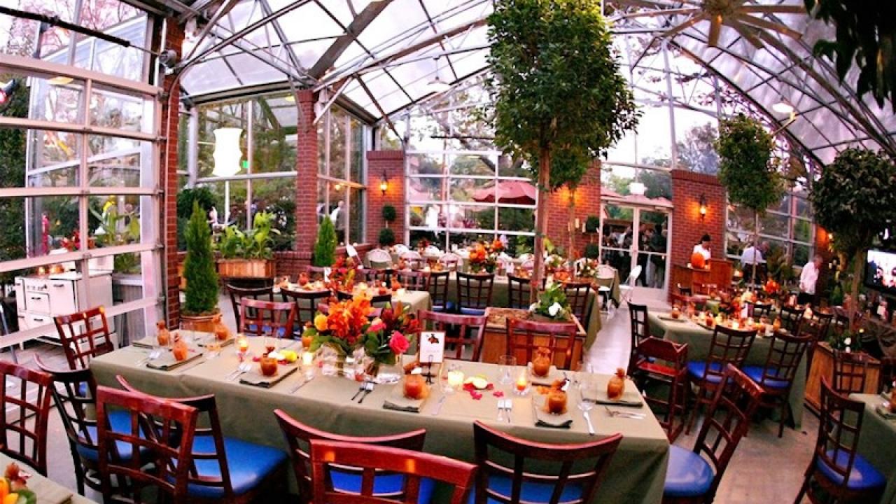 After brunch we will take a quick walking tour of the grounds then migrate over to the succulent potting bench and select up to three succulents to take home. Dining room with plants